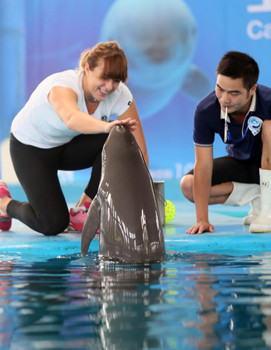 进程和关键 进程和关键