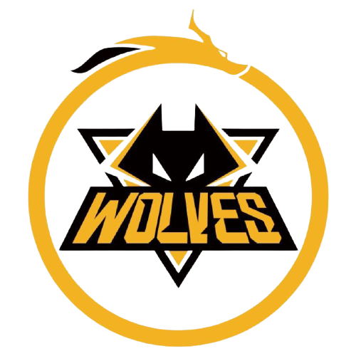 的经验和敢 的经验和敢